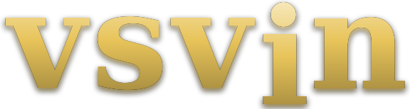 vsvin logo